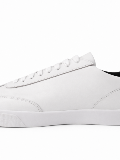 Falcon Blanco (Planta Blanco)